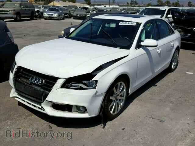 2010 AUDI A4 - VIN: WAUEFAFL7AN016533 - Фото 2