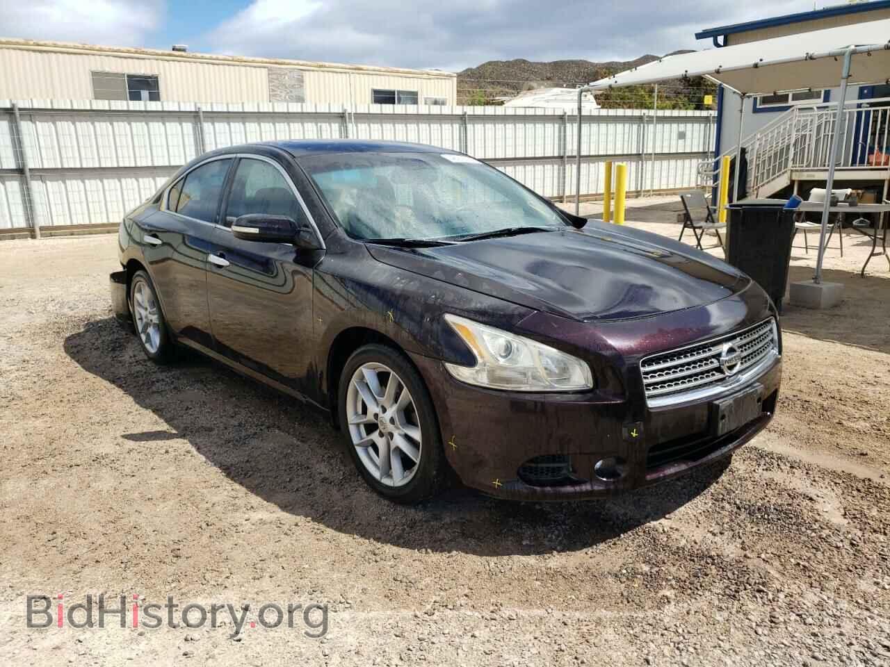 Фотография 1N4AA5AP5BC815456 - NISSAN MAXIMA 2011