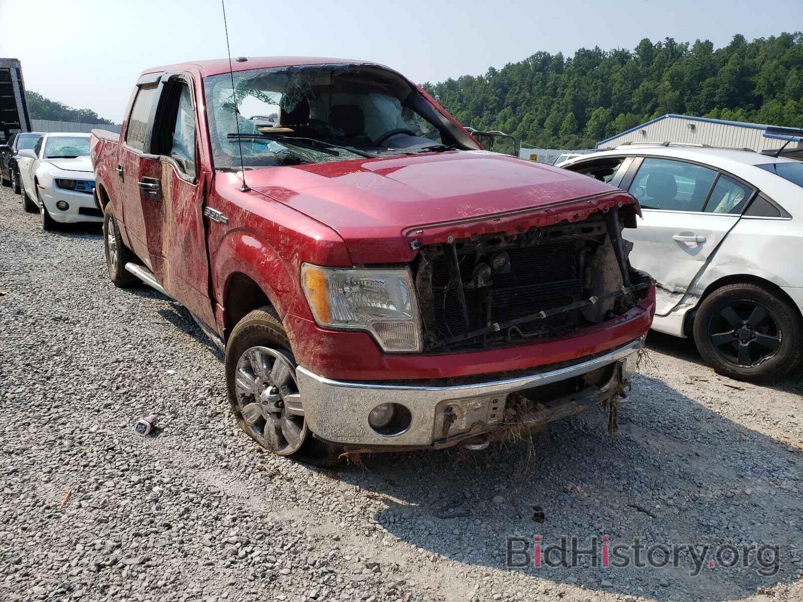 Photo 1FTEW1E86AFD64768 - FORD F-150 2010