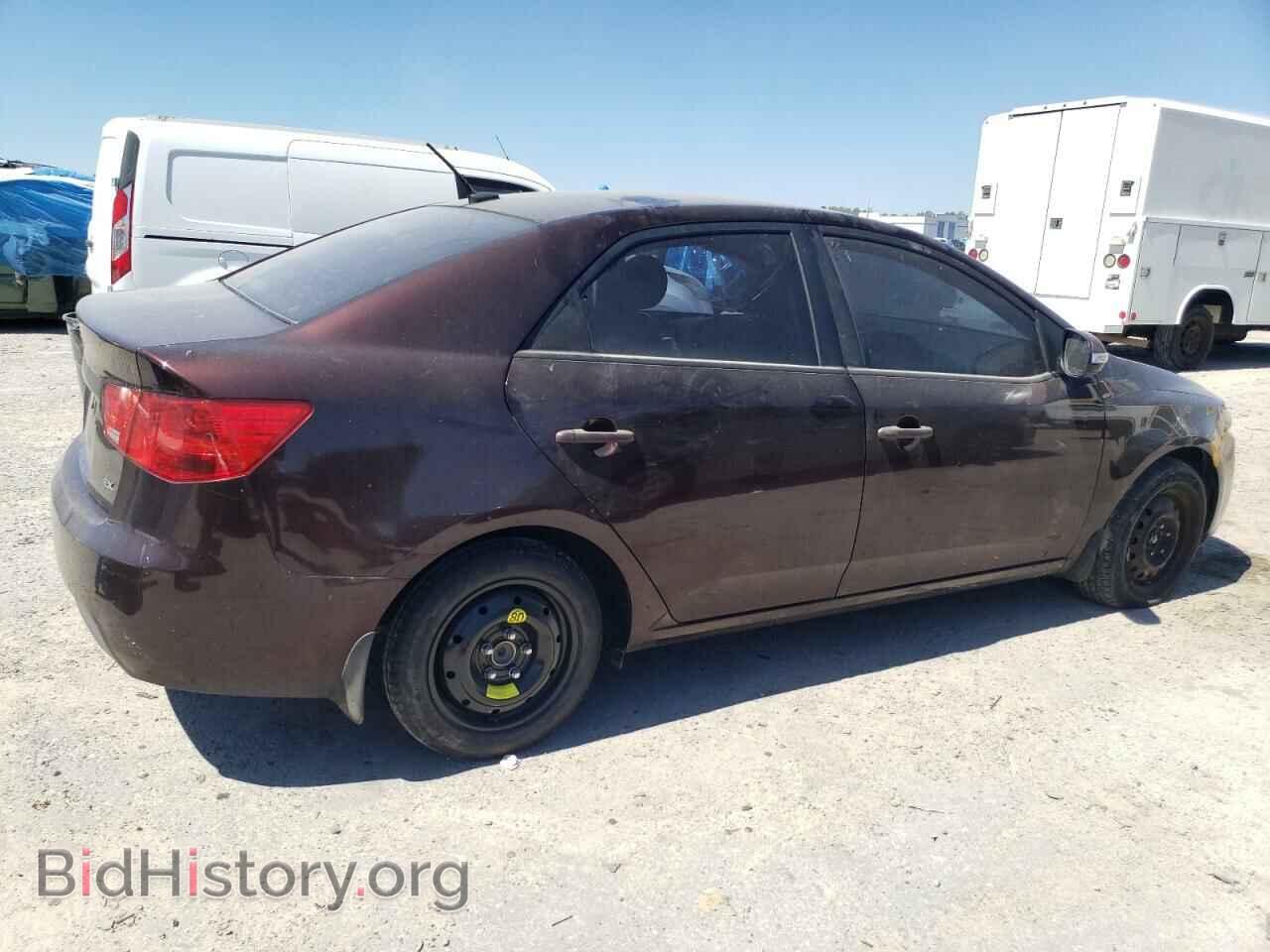2010 KIA FORTE - VIN: KNAFU4A22A5101161 - Фото 3