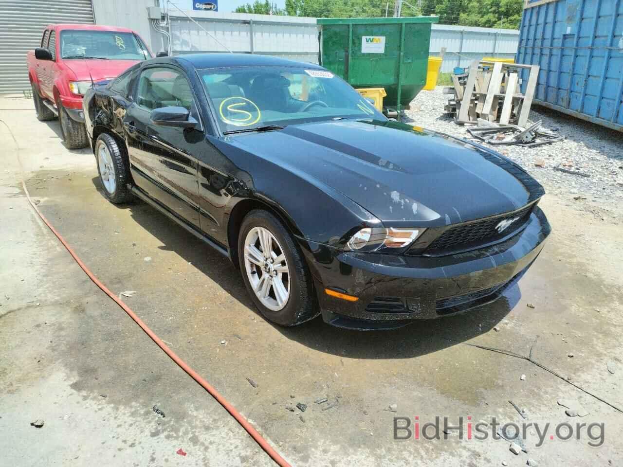 Photo 1ZVBP8AN5A5150670 - FORD MUSTANG 2010