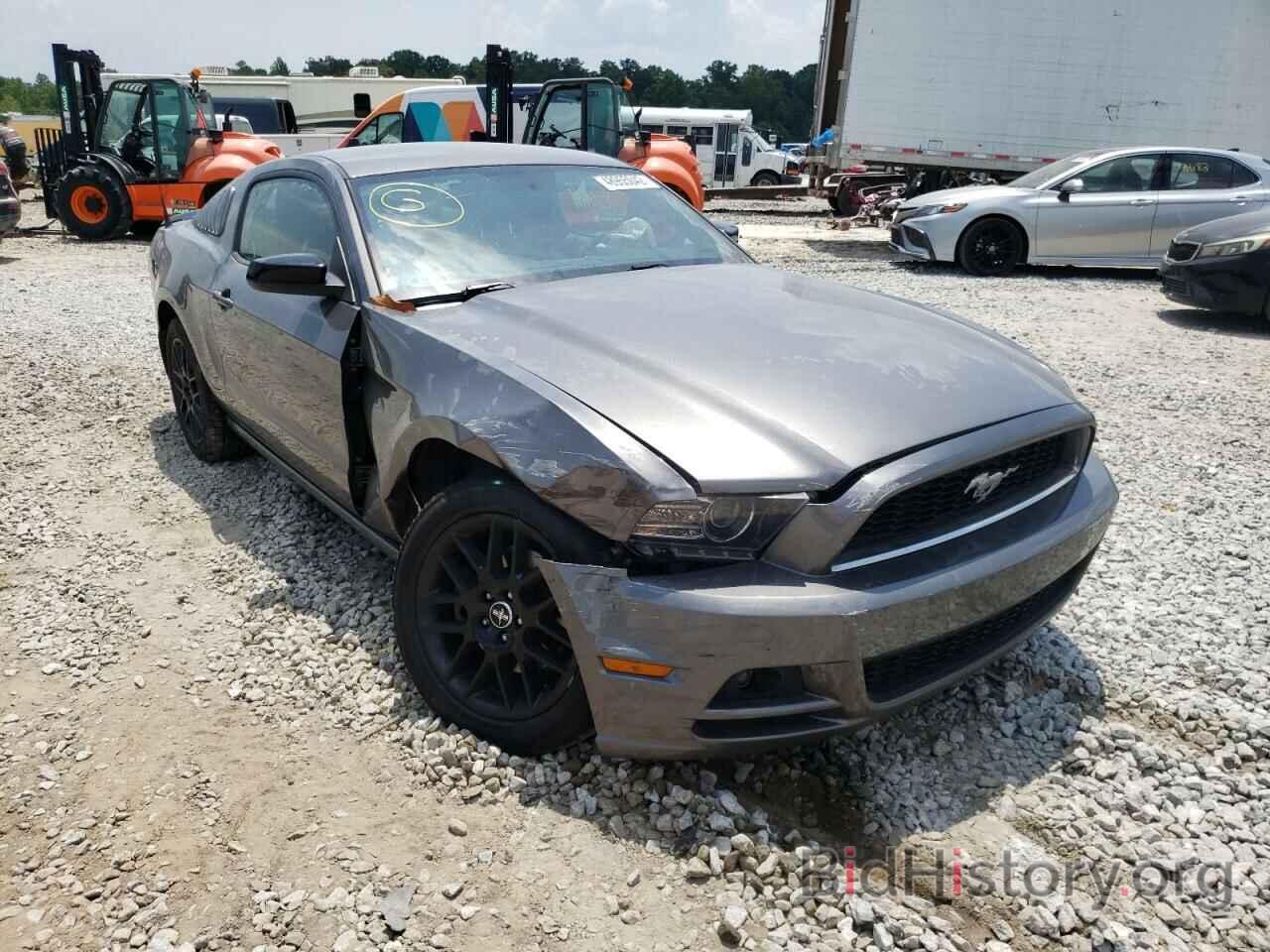 Photo 1ZVBP8AM1E5296190 - FORD MUSTANG 2014