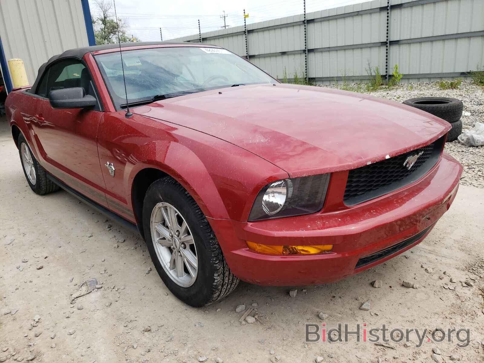 Photo 1ZVHT84N795113004 - FORD MUSTANG 2009