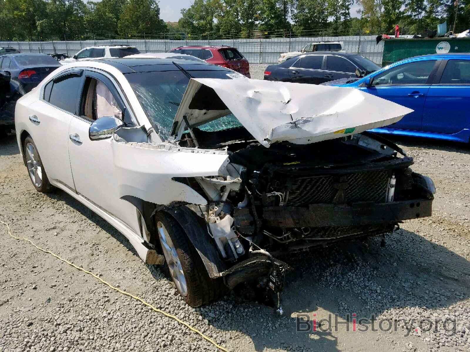 Photo 1N4AA5AP5AC849718 - NISSAN MAXIMA 2010