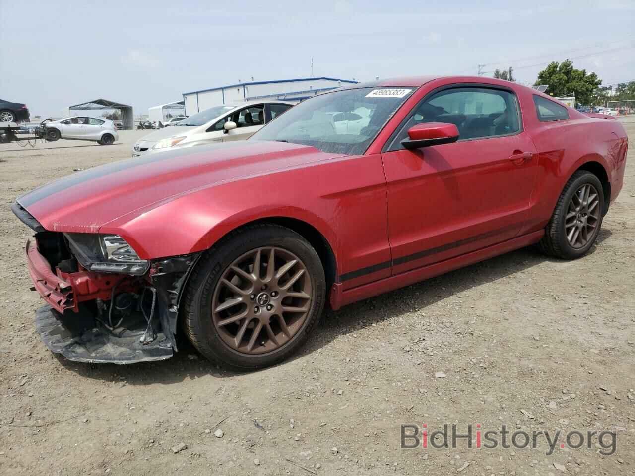 Photo 1ZVBP8AMXD5269665 - FORD MUSTANG 2013