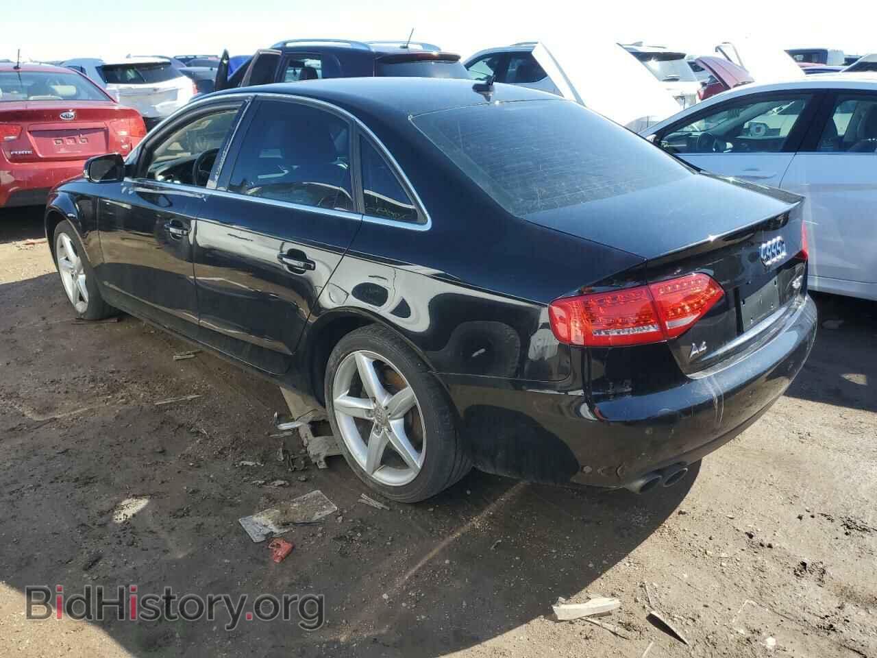 2010 AUDI A4 - VIN: WAUFFAFL8AN031837 - Фото 2