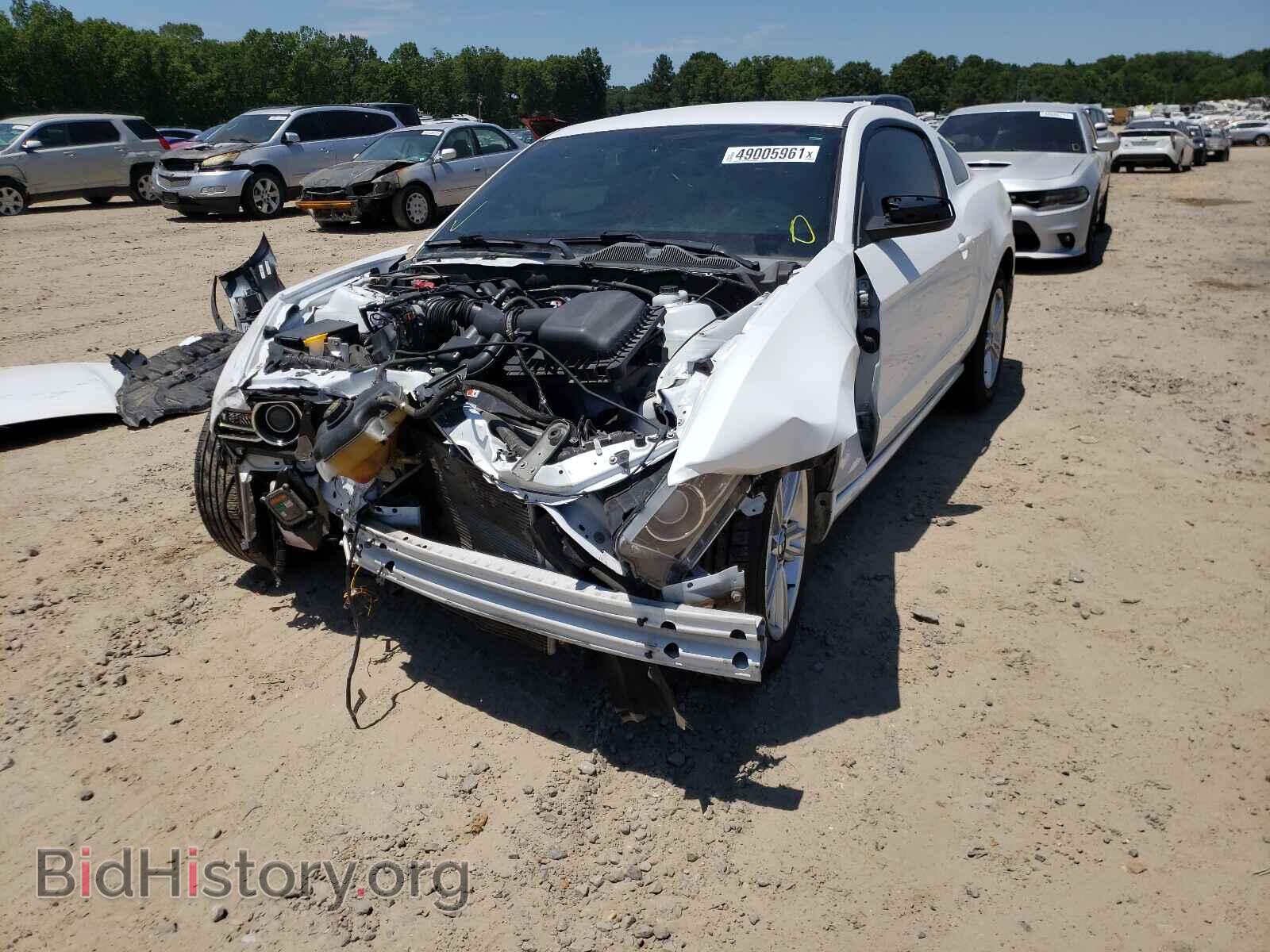 2014 FORD MUSTANG - VIN: 1ZVBP8AM7E5258804 - Фото 2