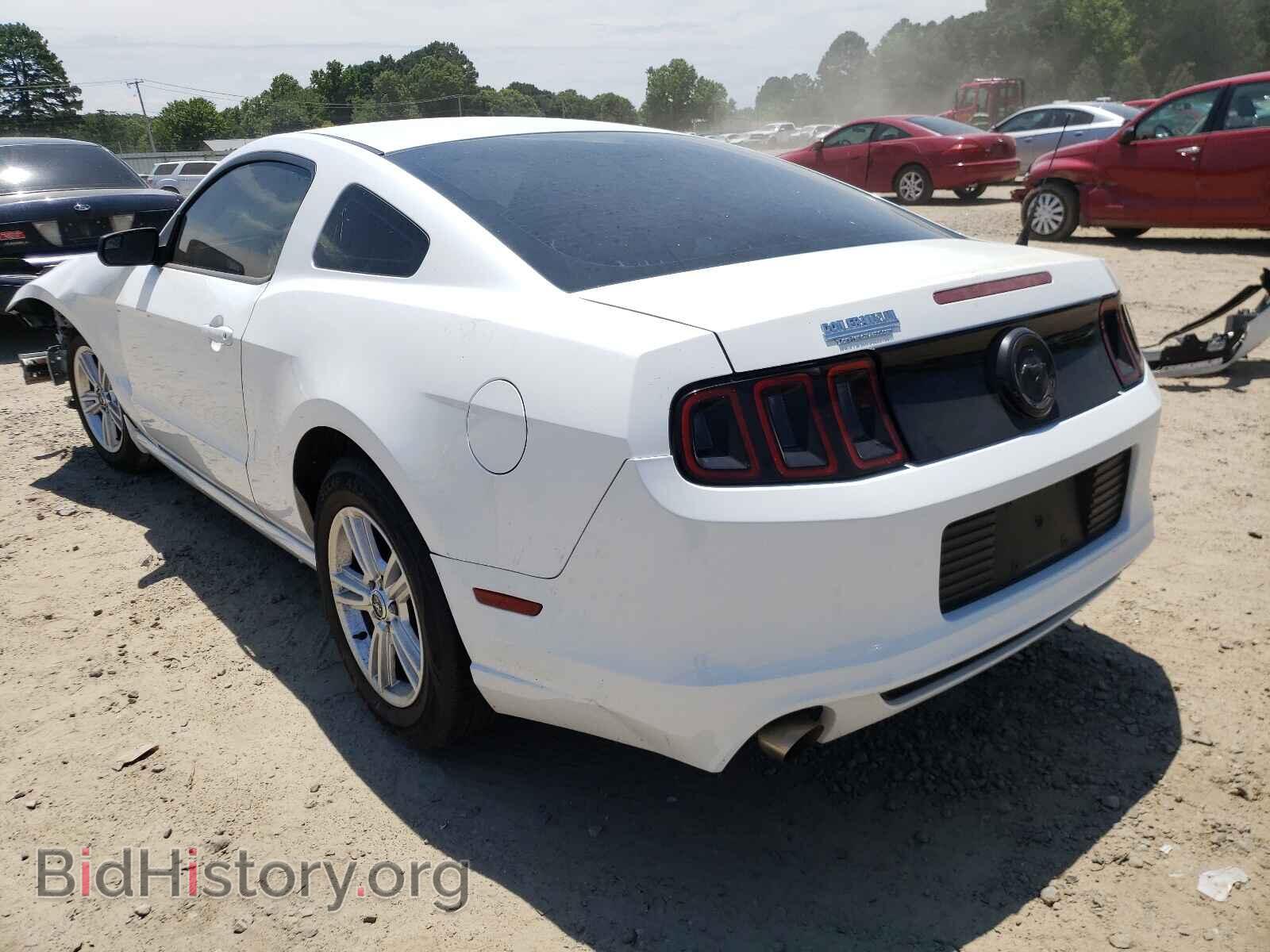 2014 FORD MUSTANG - VIN: 1ZVBP8AM7E5258804 - Фото 3