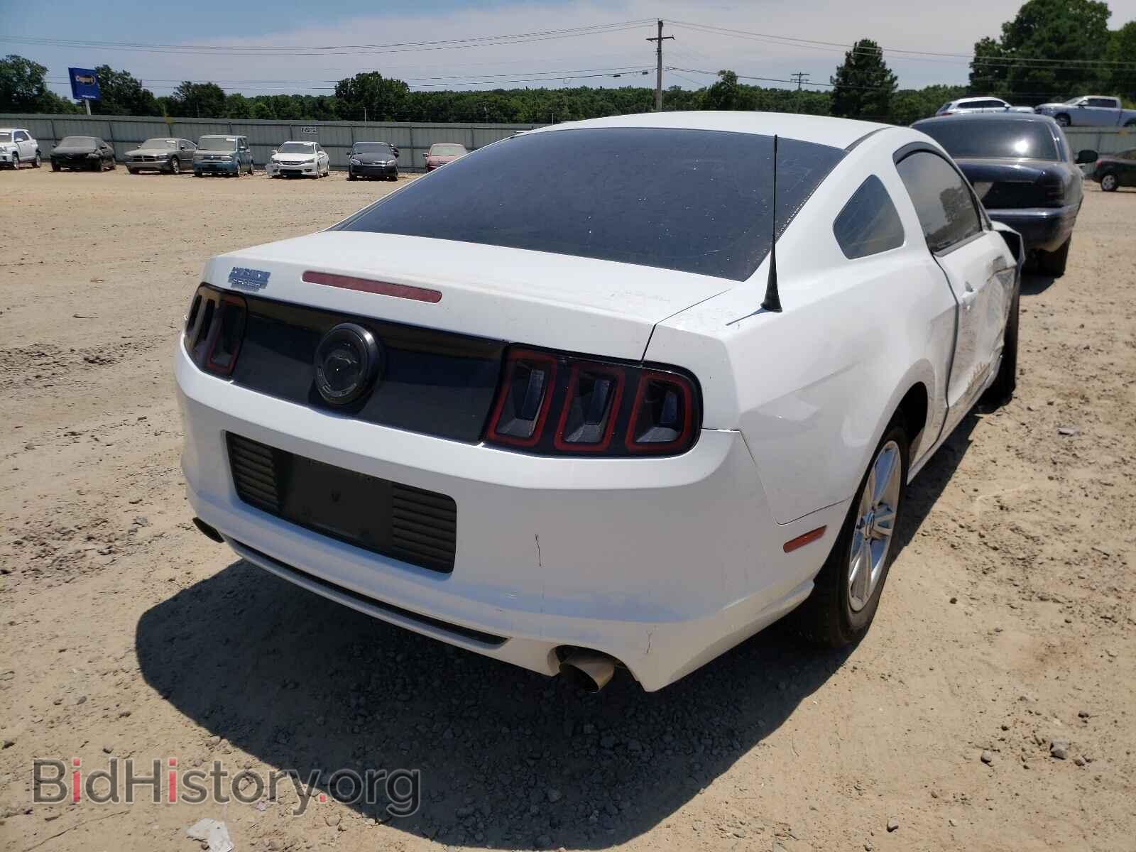 2014 FORD MUSTANG - VIN: 1ZVBP8AM7E5258804 - Фото 4