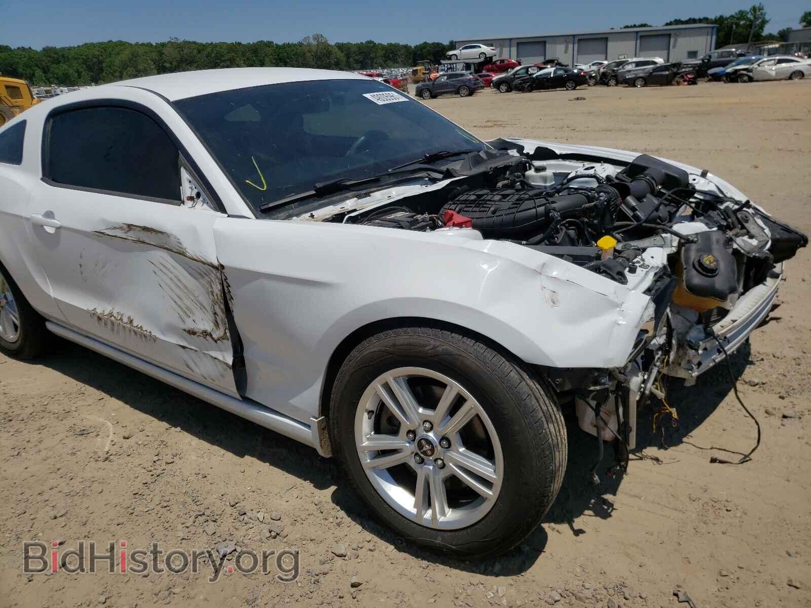 2014 FORD MUSTANG - VIN: 1ZVBP8AM7E5258804 - Фото 9