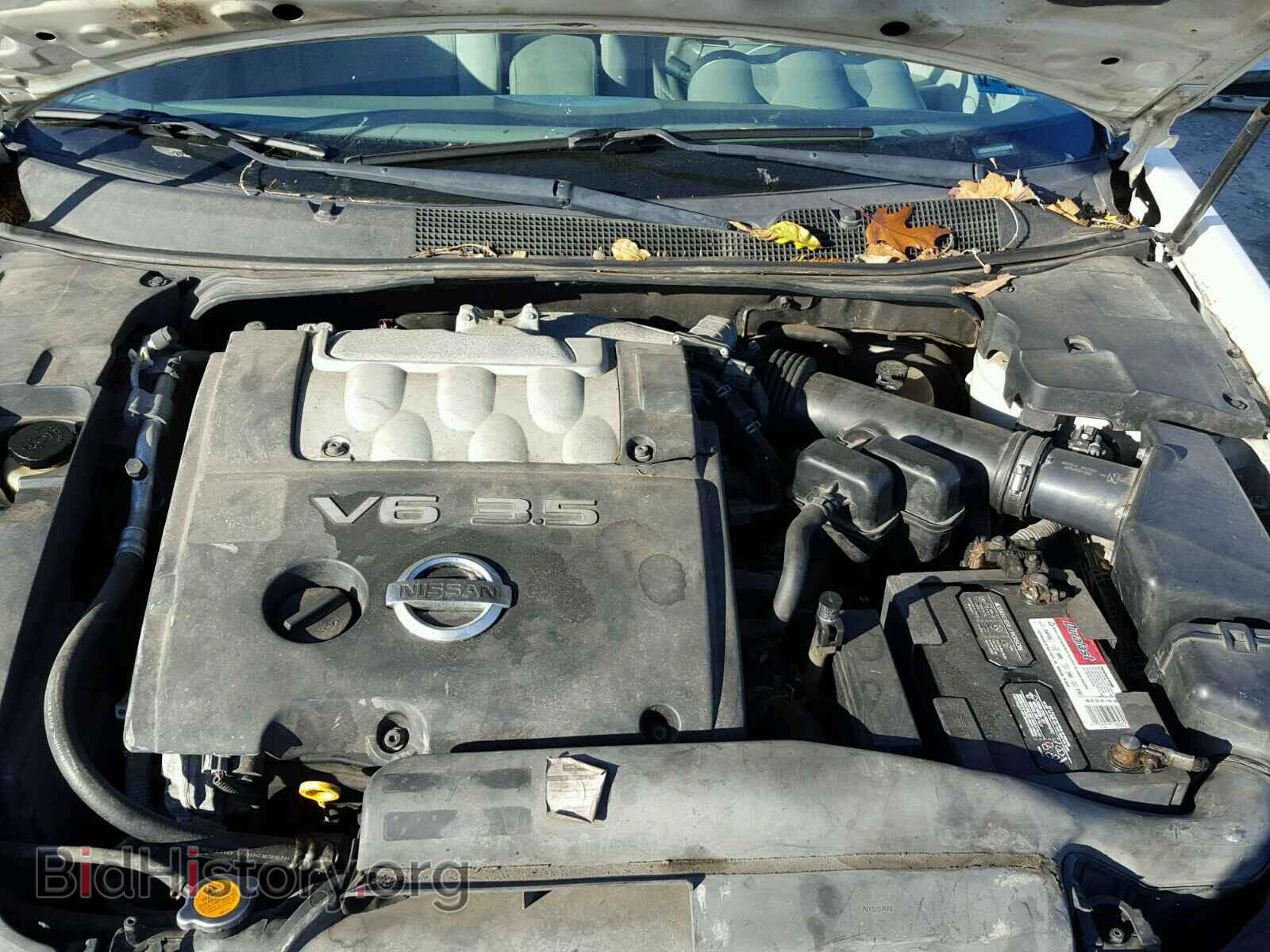 2005 NISSAN MAXIMA - VIN: 1N4BA41E95C845366 - Photo 7