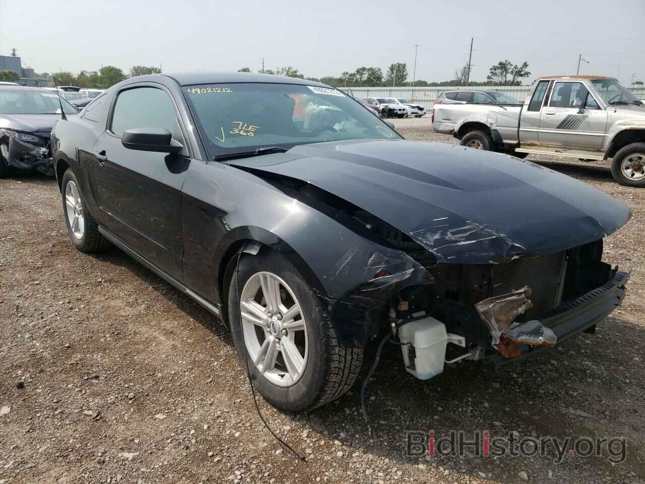 Photo 1ZVBP8AN3A5146536 - FORD MUSTANG 2010