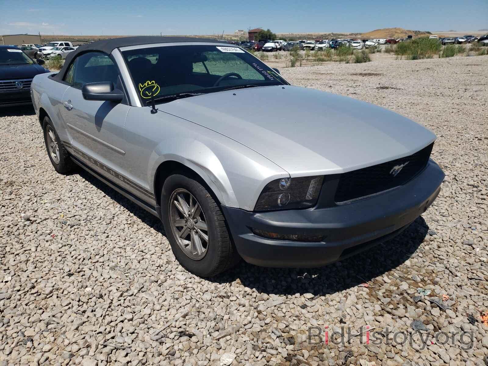 Photo 1ZVFT84N475278934 - FORD MUSTANG 2007