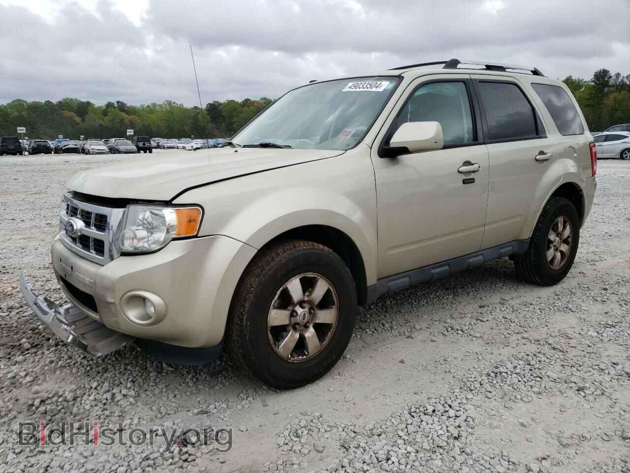 Фотография 1FMCU0EG9AKD42216 - FORD ESCAPE 2010