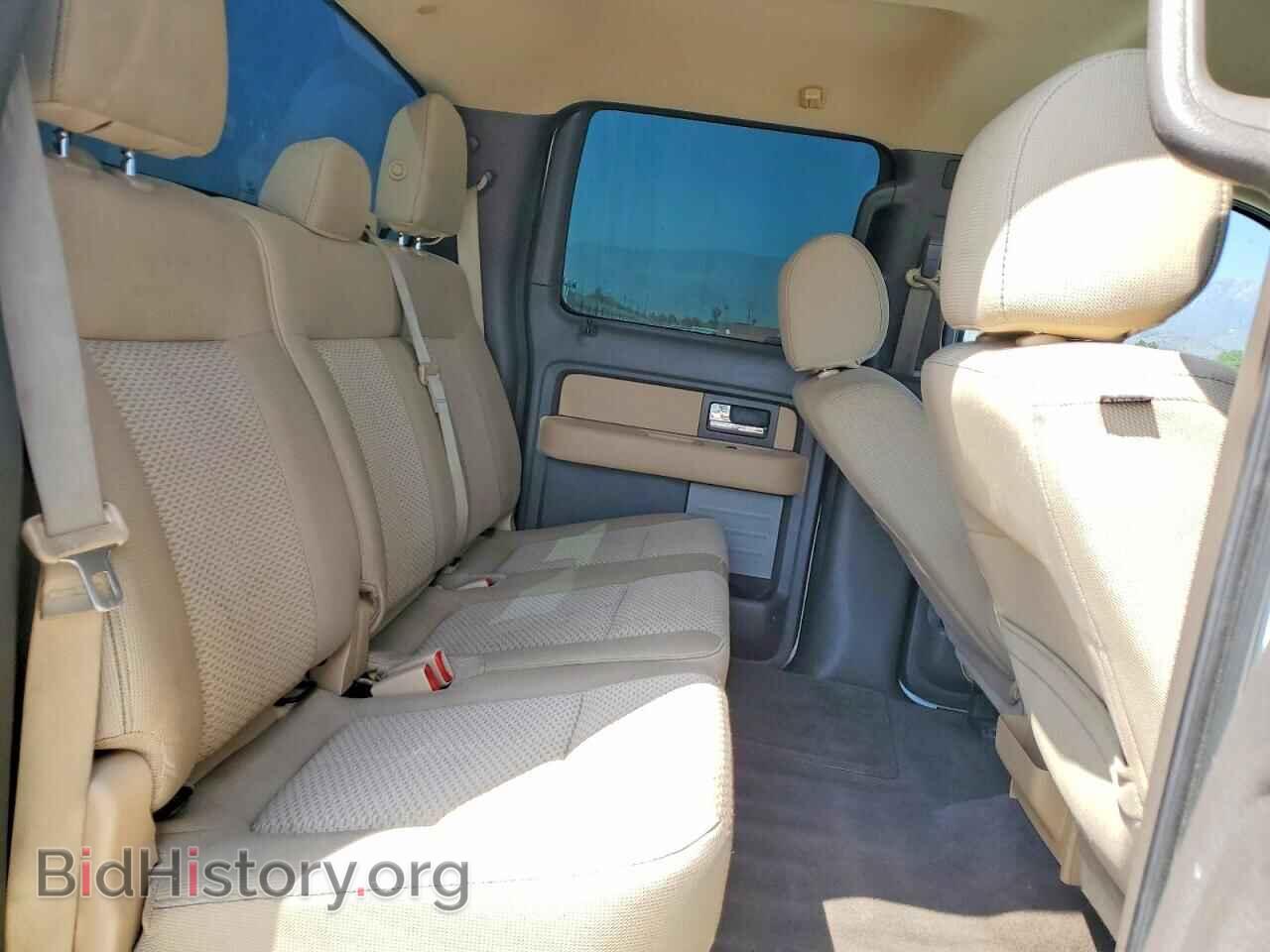 2013 FORD F150 - VIN: 1FTFW1EF6DKD54675 - Фото 10
