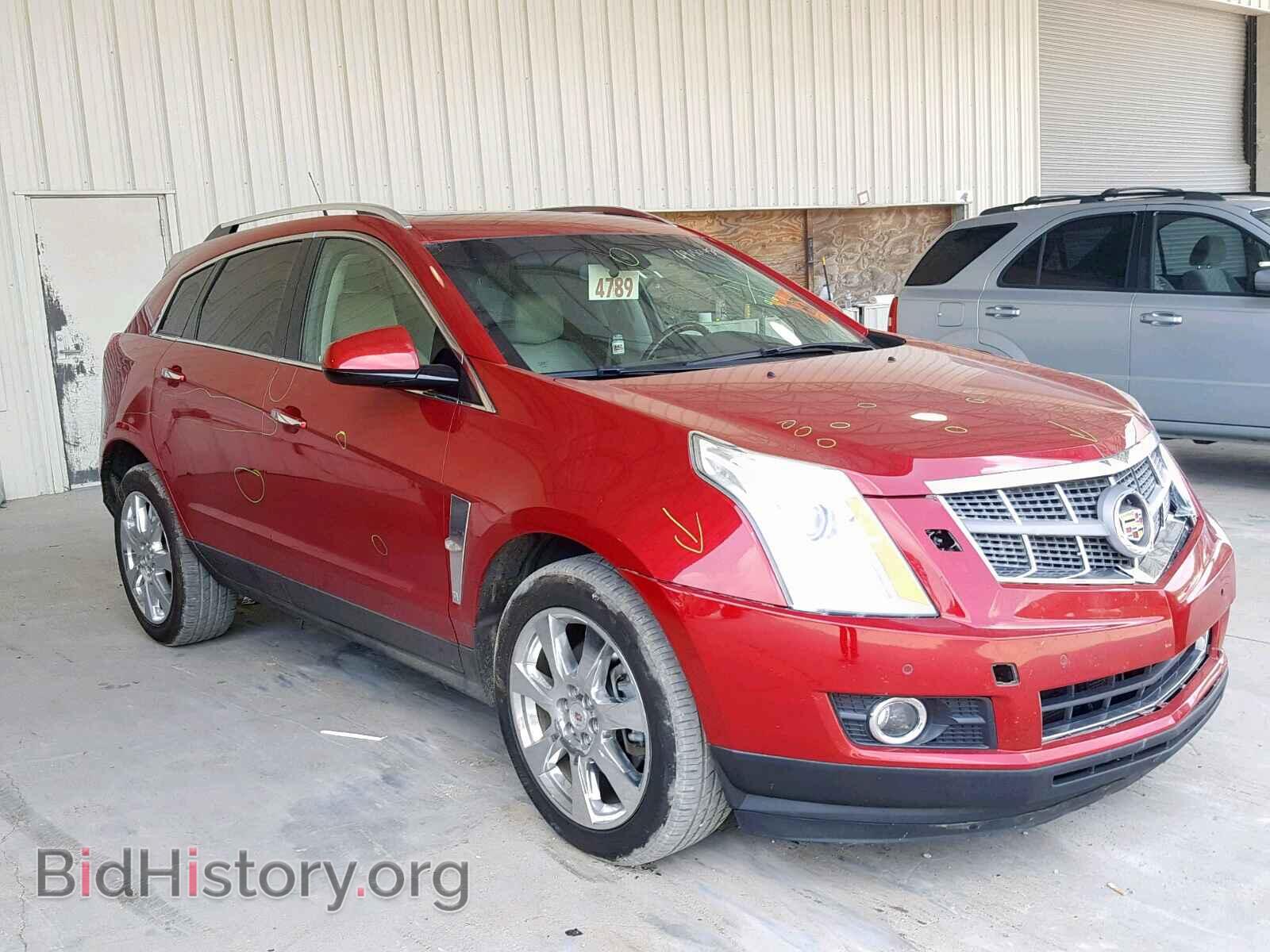 Фотография 3GYFNBEY9BS529314 - CADILLAC SRX PERFOR 2011