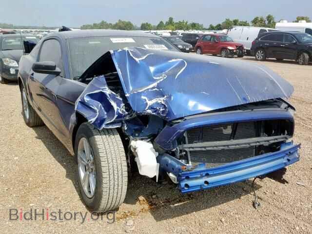 Фотография 1ZVBP8AM1E5328720 - FORD MUSTANG 2014