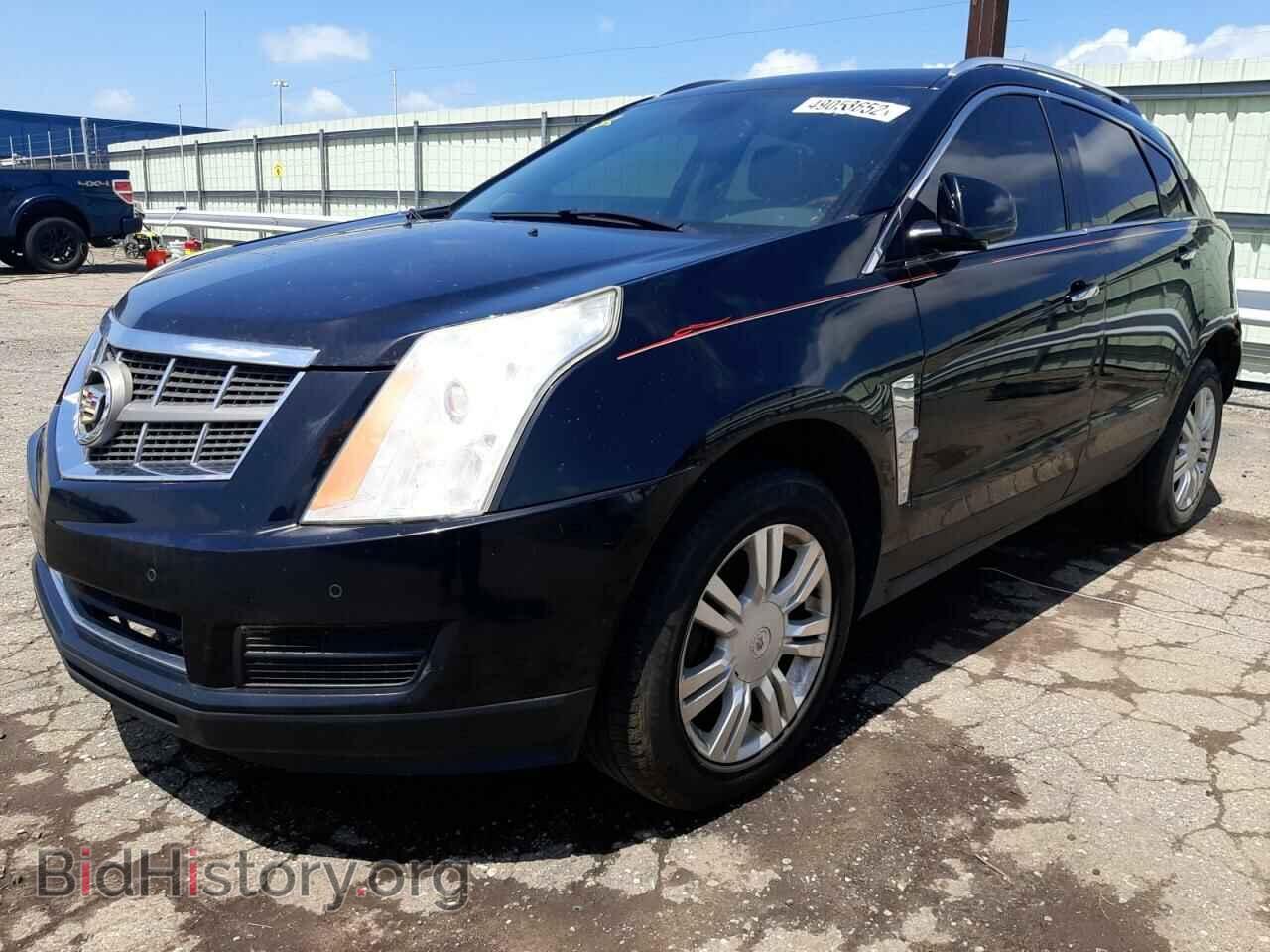 2010 CADILLAC SRX - VIN: 3GYFNDEY4AS505089 - Фото 2