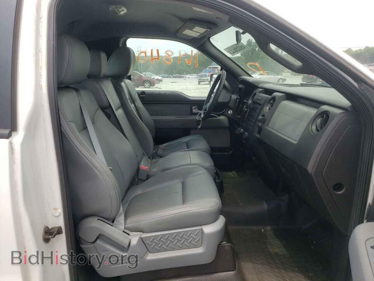 2013 FORD F150 - VIN: 1FTMF1EM3DFD18702 - Фото 5