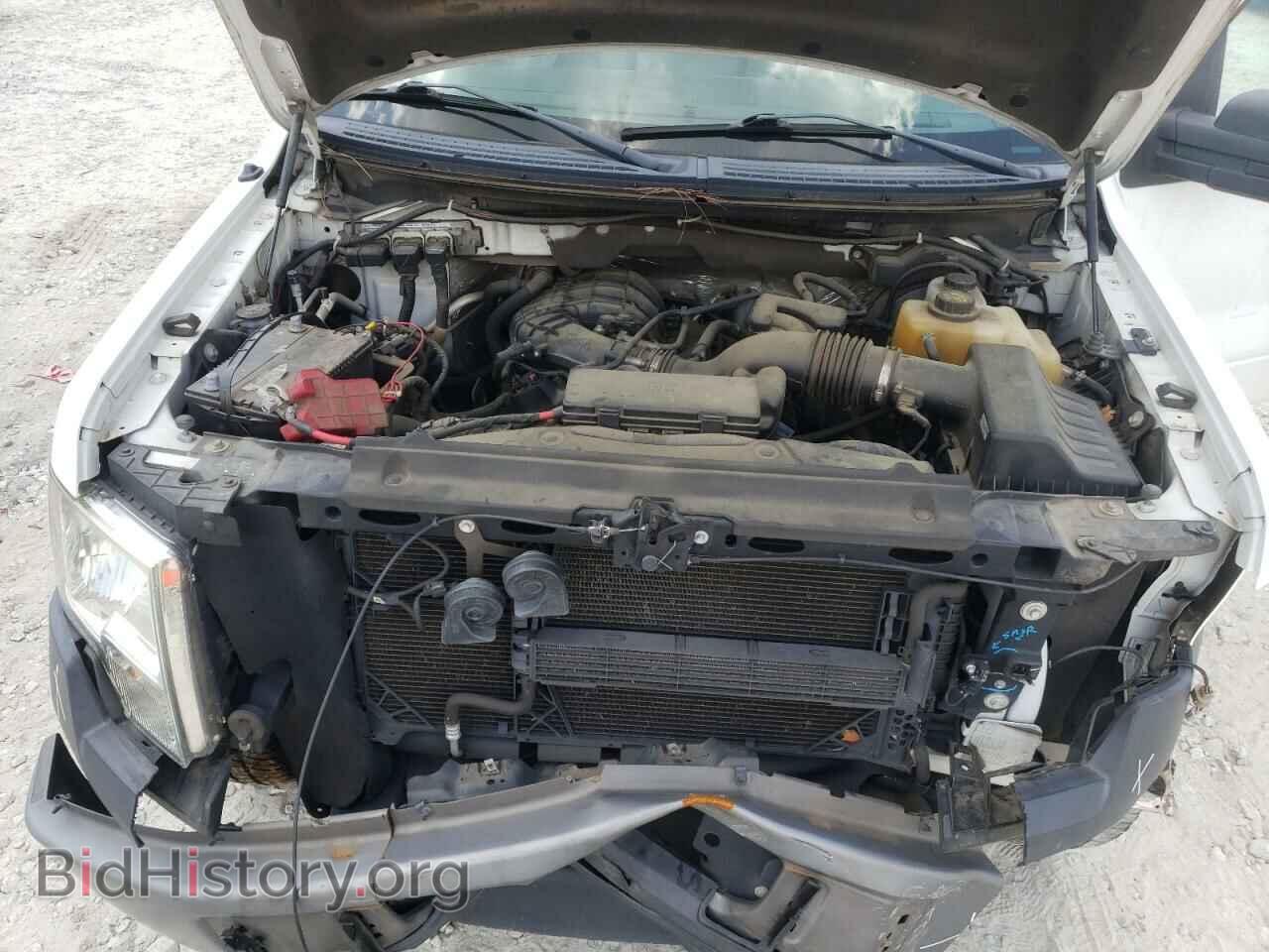 2013 FORD F150 - VIN: 1FTMF1EM3DFD18702 - Фото 7