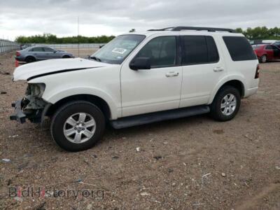 2010 Ford EXPLORER Explorer X, белый — VIN 1FMEU6DE7AUA58342, Copart