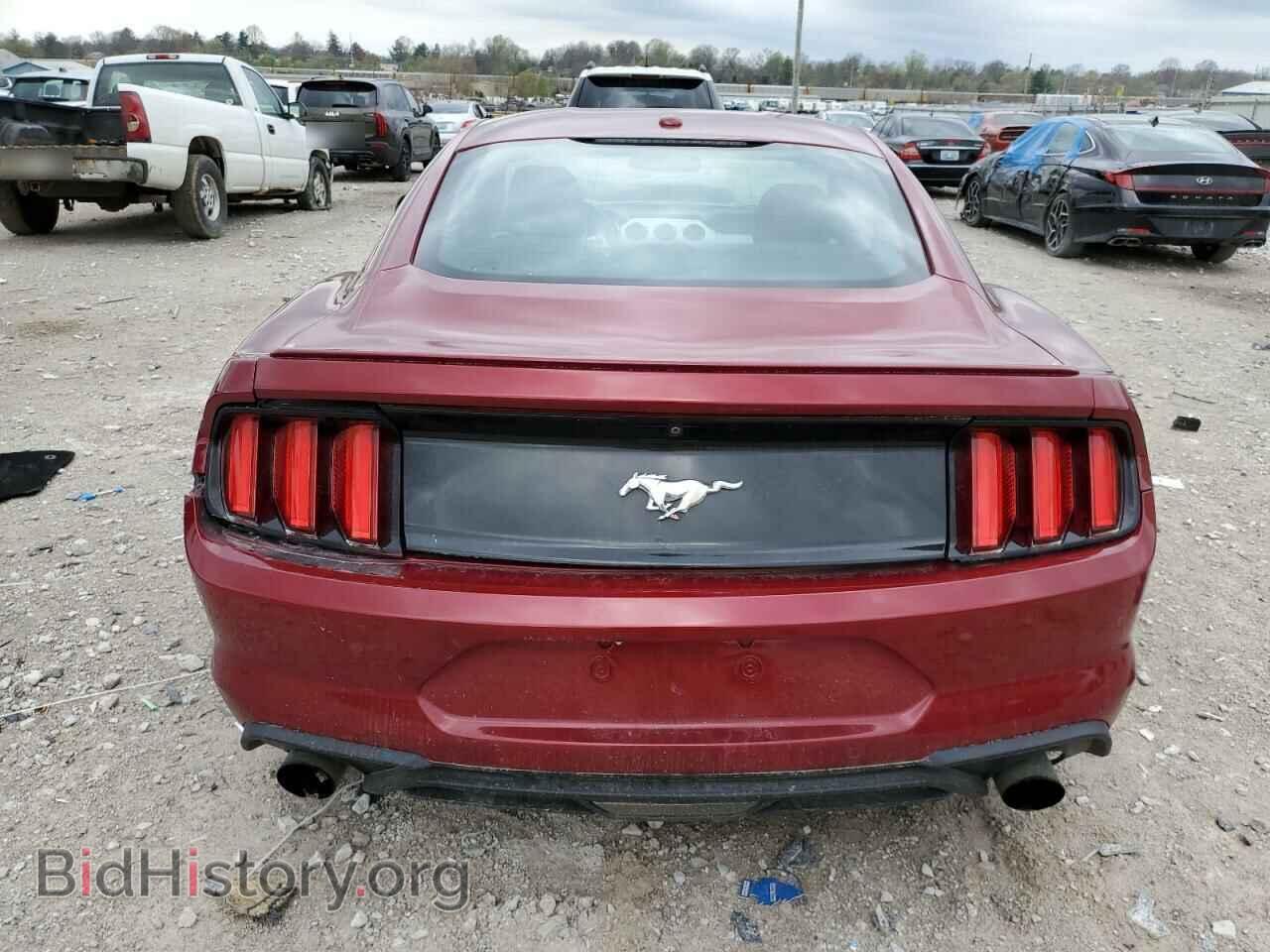2017 FORD ALL Models - VIN: 1FA6P8THXH5246743 - Photo 6