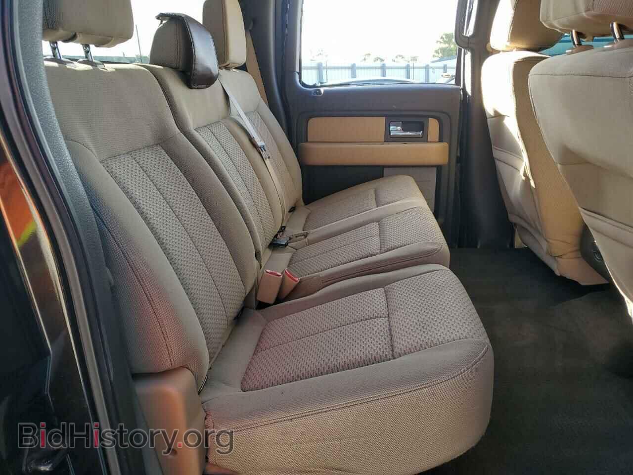 2013 FORD F-150 - VIN: 1FTFW1CF2DFD64258 - Фото 10