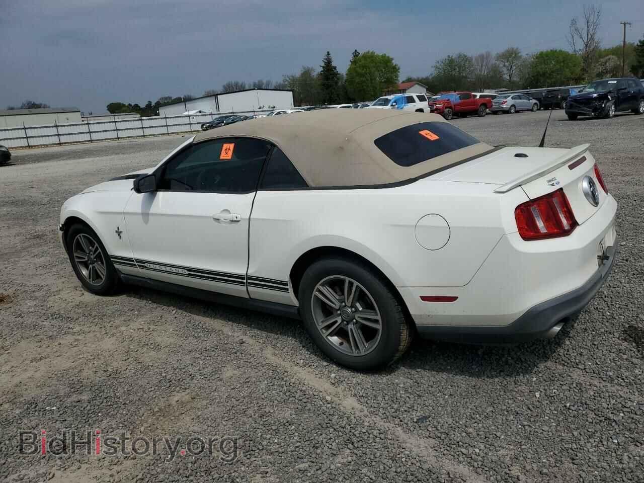 2011 FORD ALL Models - VIN: 1ZVBP8EM1B5161703 - Photo 2