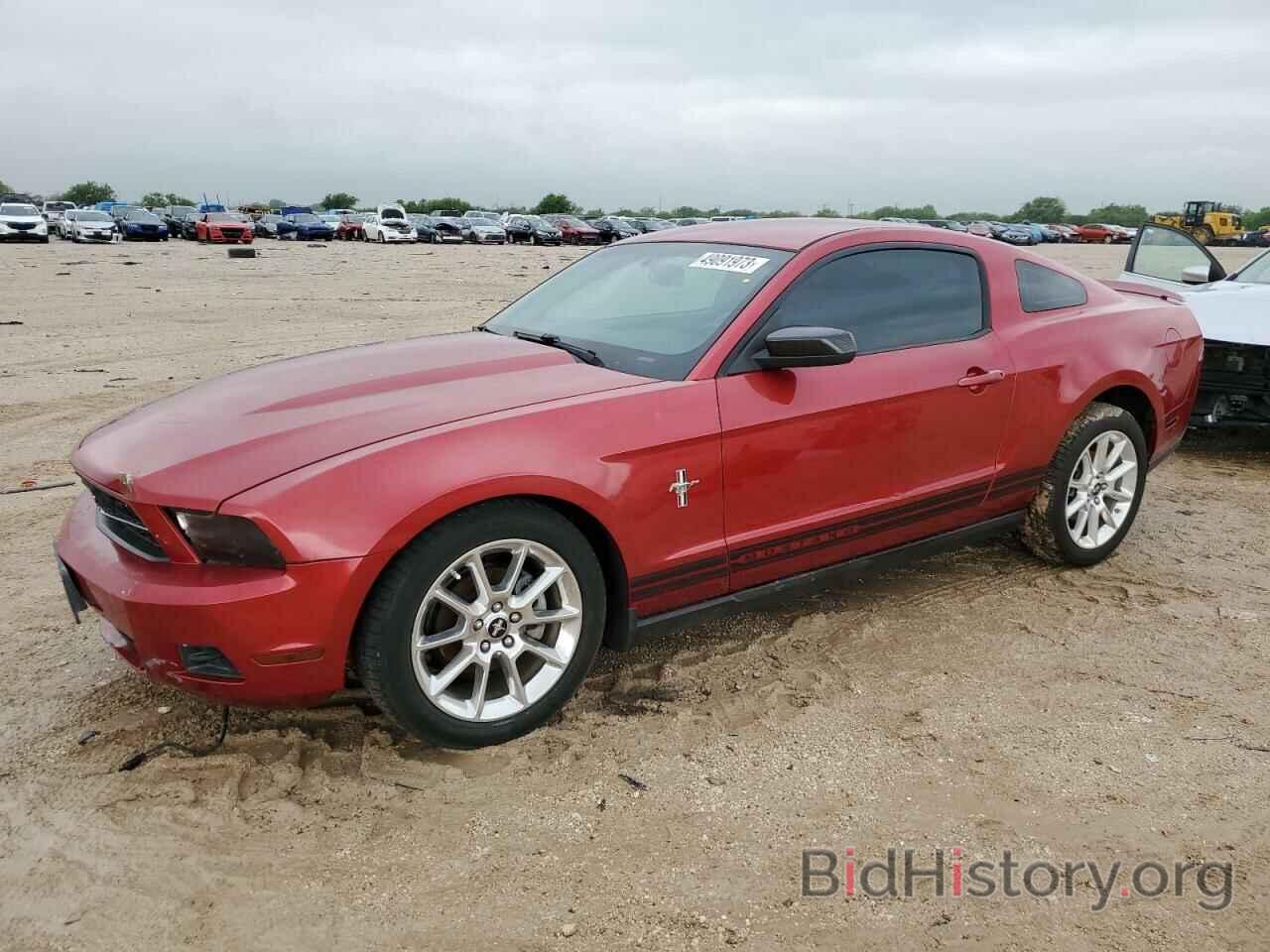 Photo 1ZVBP8AN5A5134288 - FORD MUSTANG 2010