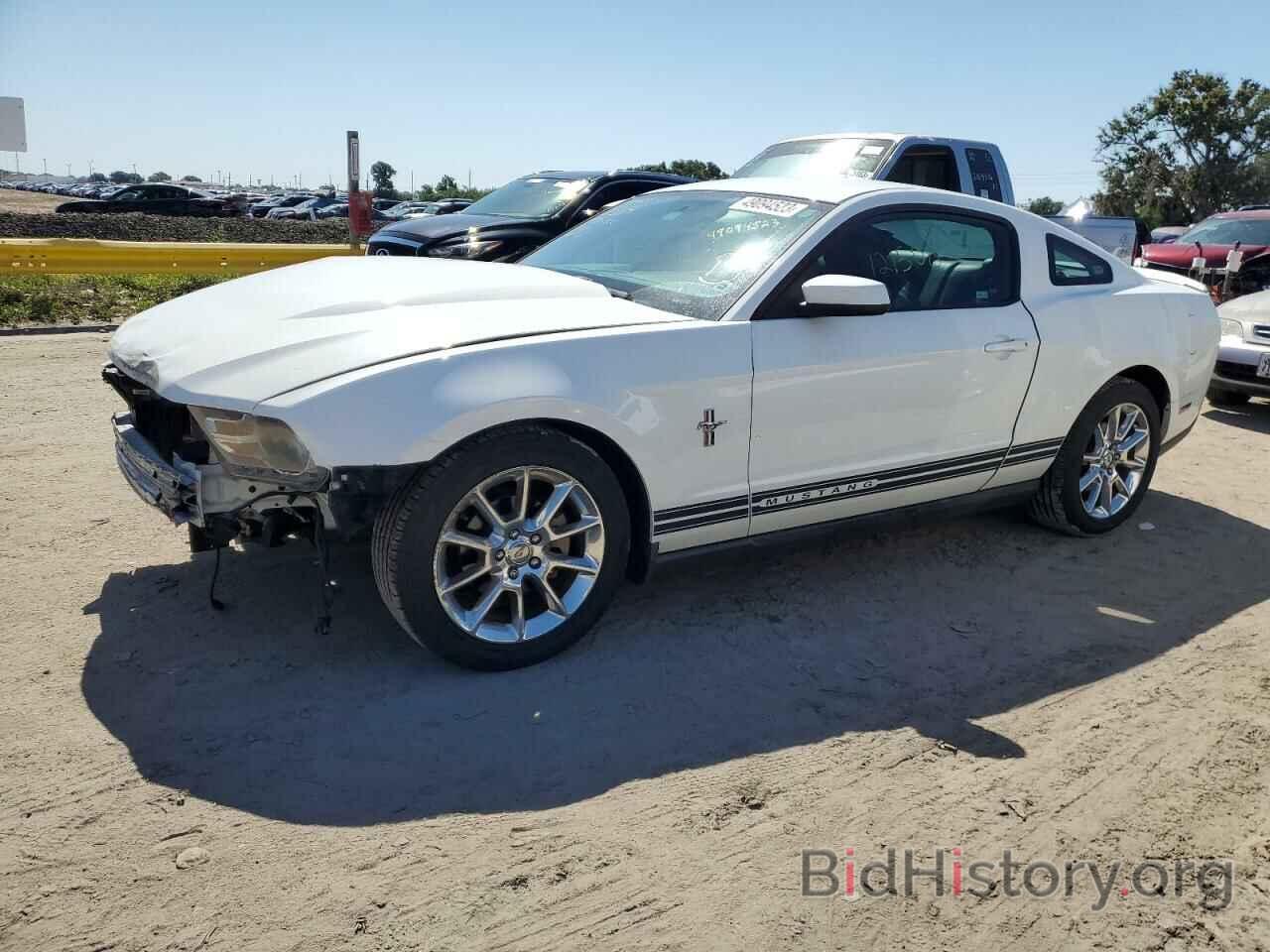 Photo 1ZVBP8AN3A5142793 - FORD MUSTANG 2010