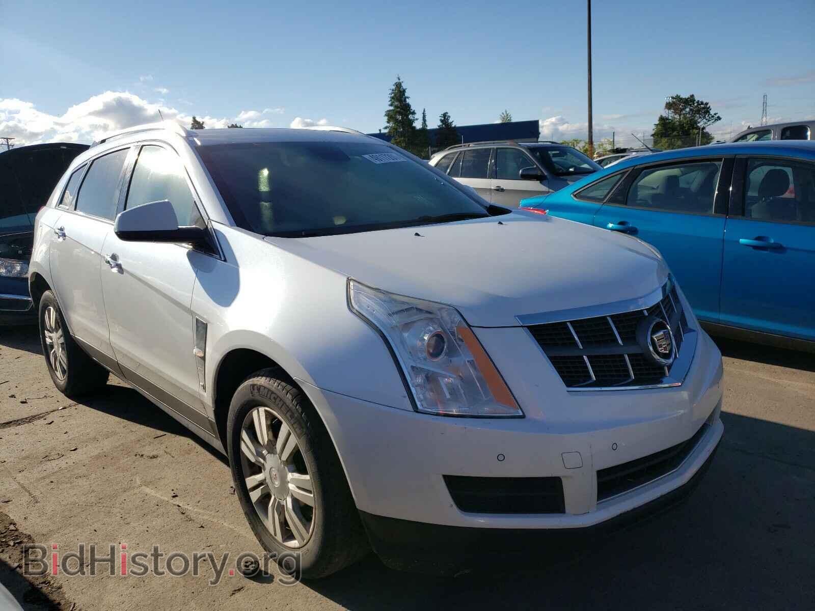 Фотография 3GYFNAE38CS578598 - CADILLAC SRX 2012