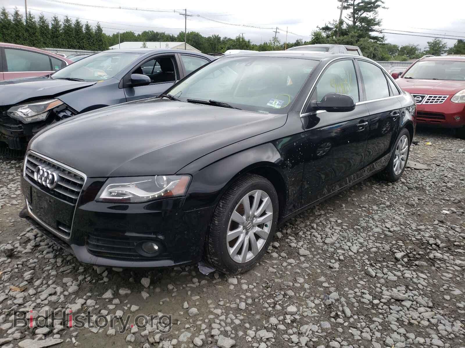2011 AUDI A4 - VIN: WAUFFAFL5BN014723 - Фото 2