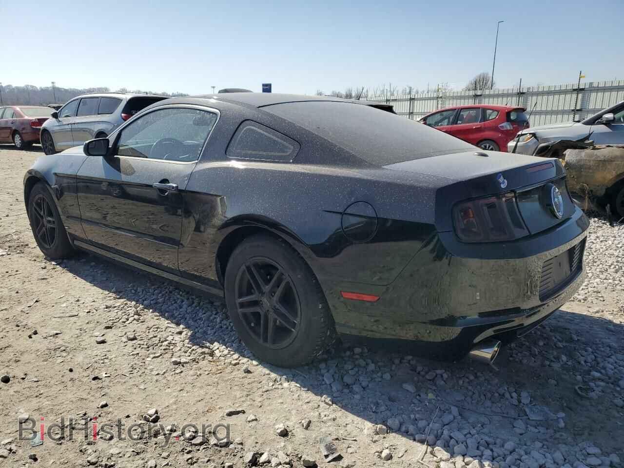 2014 FORD ALL Models - VIN: 1ZVBP8AM4E5231107 - Фото 2