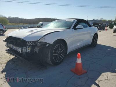 2021 Ford ALL MODELS, white — VIN 1FATP8UH6M5115885, Copart