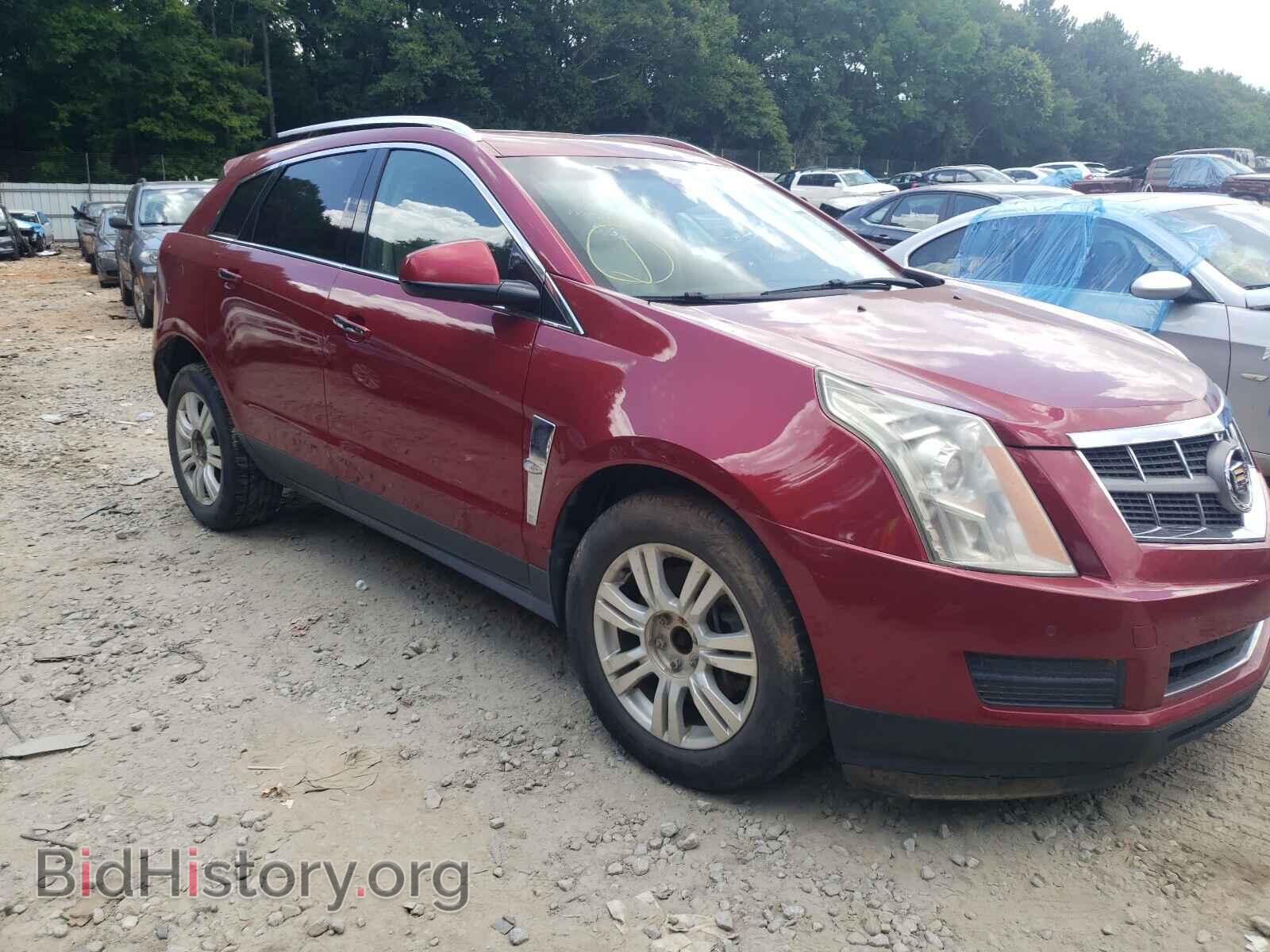 Фотография 3GYFNDEY3AS644193 - CADILLAC SRX 2010