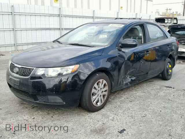 2012 KIA FORTE EX - VIN: KNAFU4A21C5497652 - Фото 2
