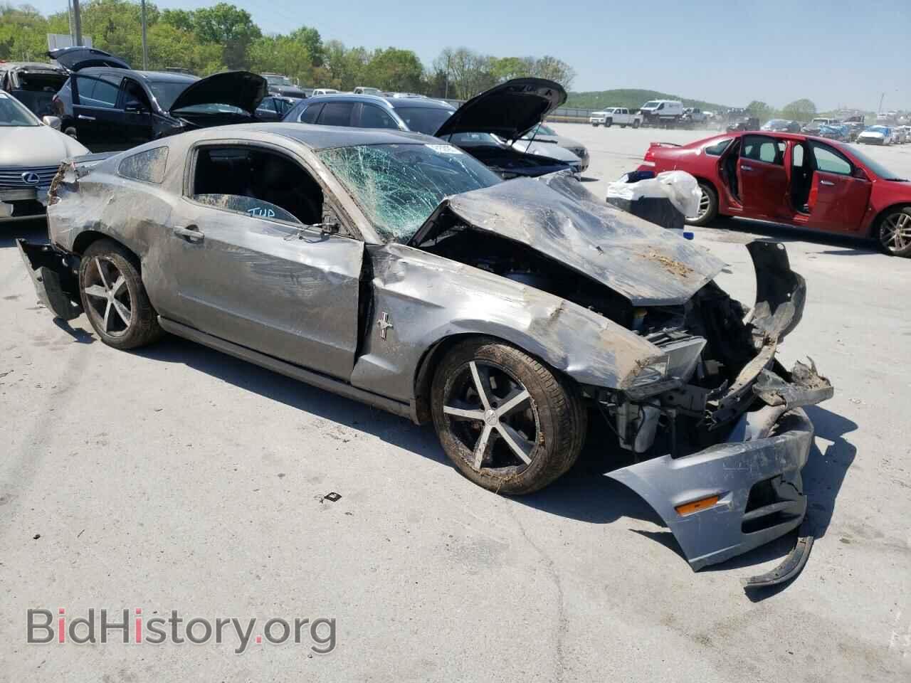 2013 FORD MUSTANG - VIN: 1ZVBP8AM4D5212586 - Фото 4