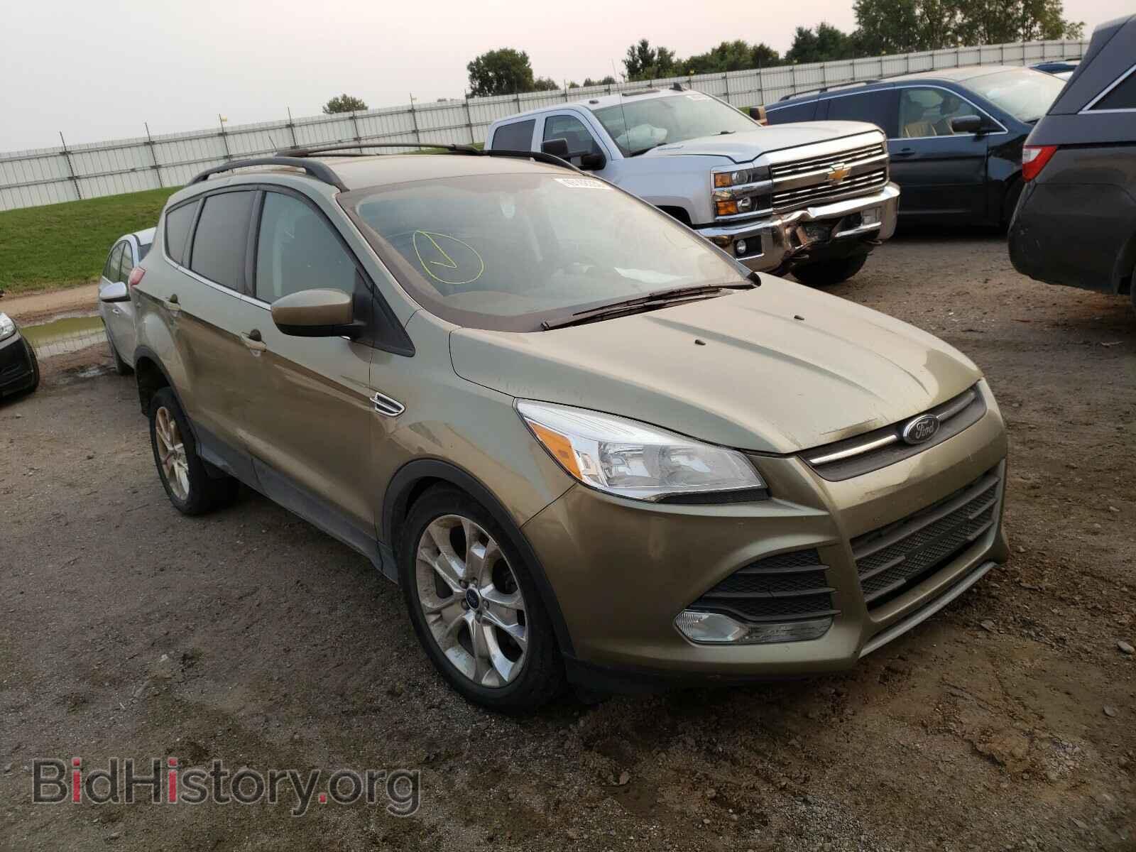 Photo 1FMCU0GX3DUB30675 - FORD ESCAPE 2013