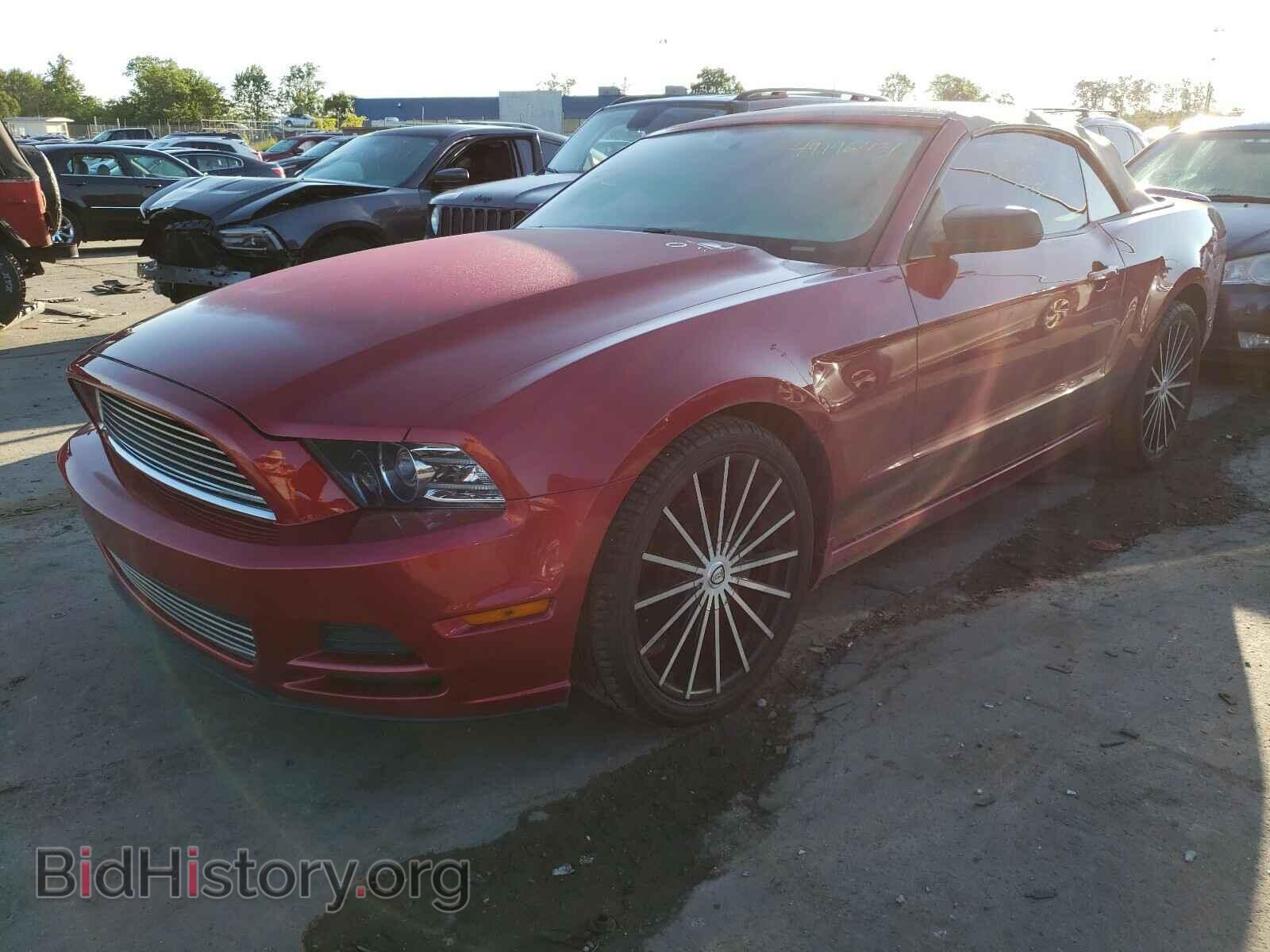 2013 FORD MUSTANG - VIN: 1ZVBP8EMXD5204647 - Фото 2