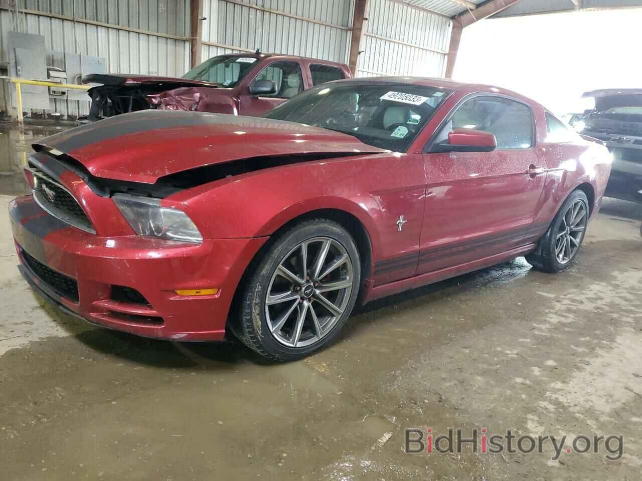 Photo 1ZVBP8AM4D5230134 - FORD MUSTANG 2013