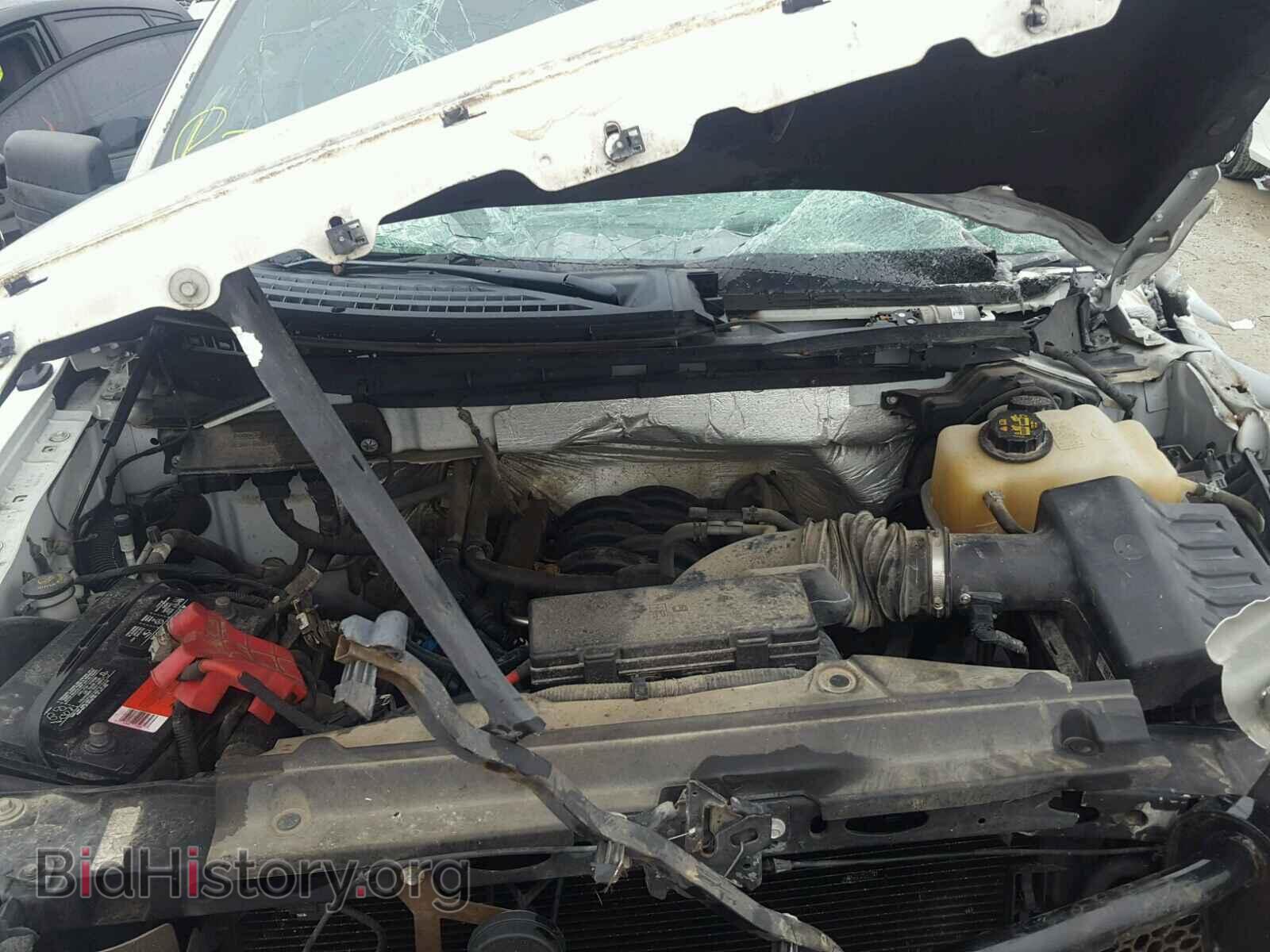 2012 FORD F150 - VIN: 1FTPF1EF6CKD74802 - Фото 7