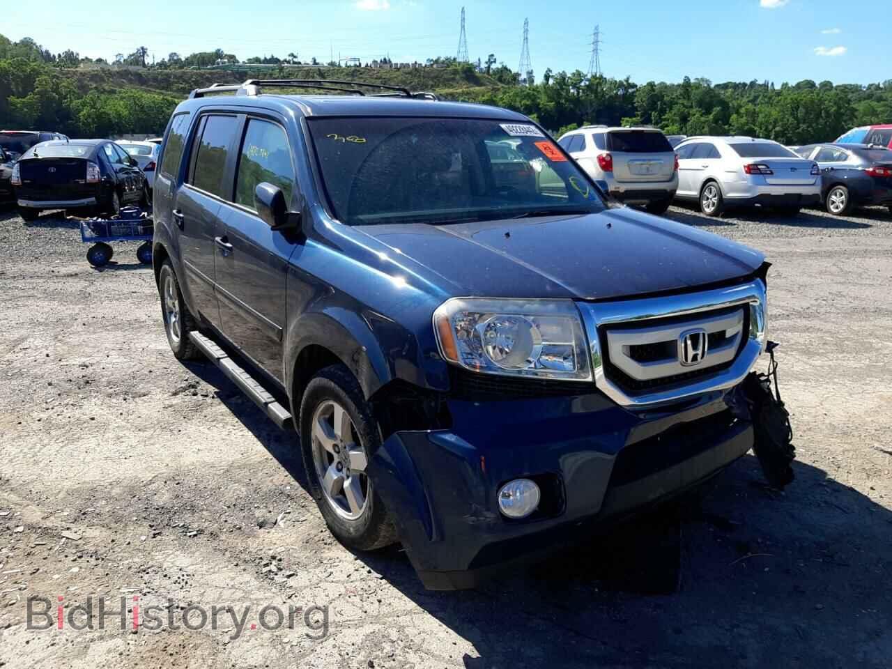 Фотография 5FNYF48529B037221 - HONDA PILOT 2009