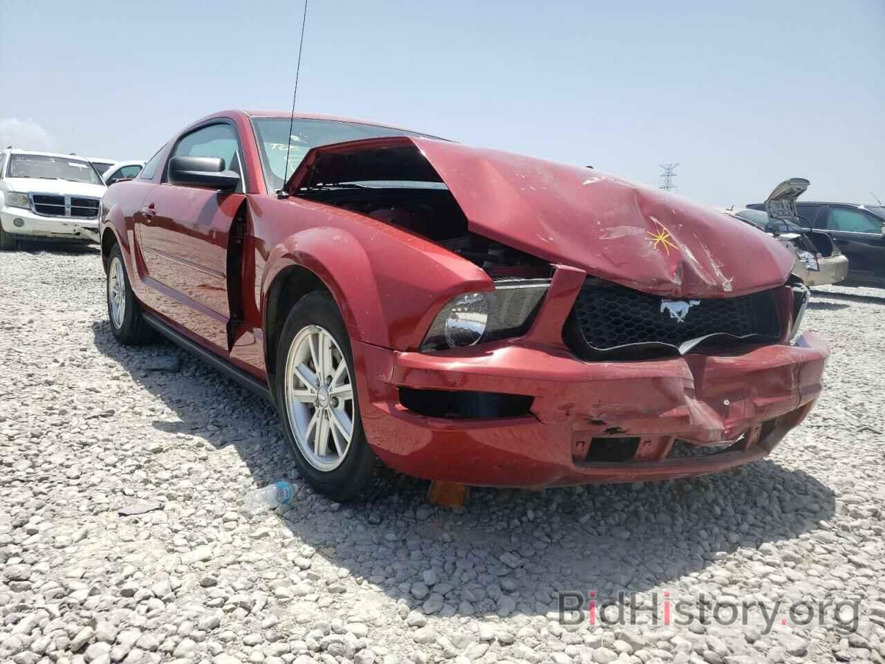 Photo 1ZVHT80NX85201355 - FORD MUSTANG 2008