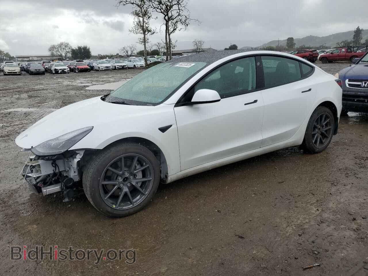 Photo 5YJ3E1EA2PF515826 - TESLA MODEL 3 2023