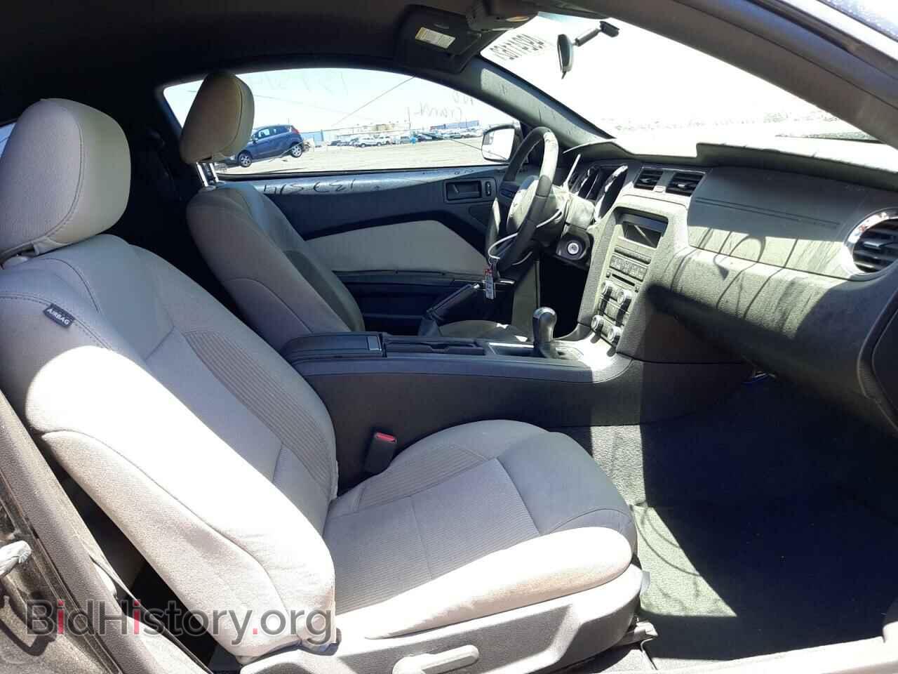 2012 FORD MUSTANG - VIN: 1ZVBP8AM7C5214895 - Фото 5