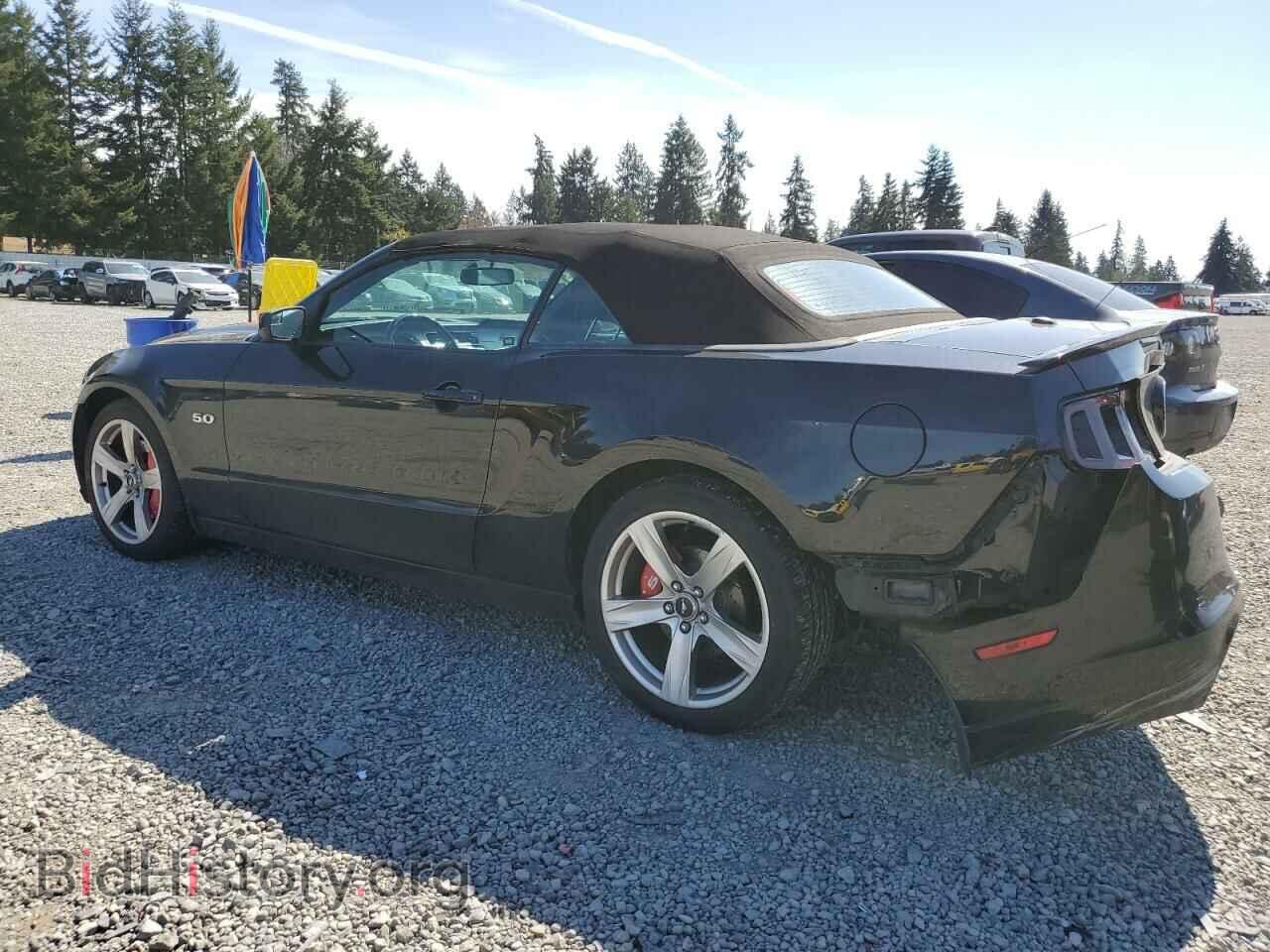 2013 FORD MUSTANG - VIN: 1ZVBP8FF8D5257248 - Фото 2
