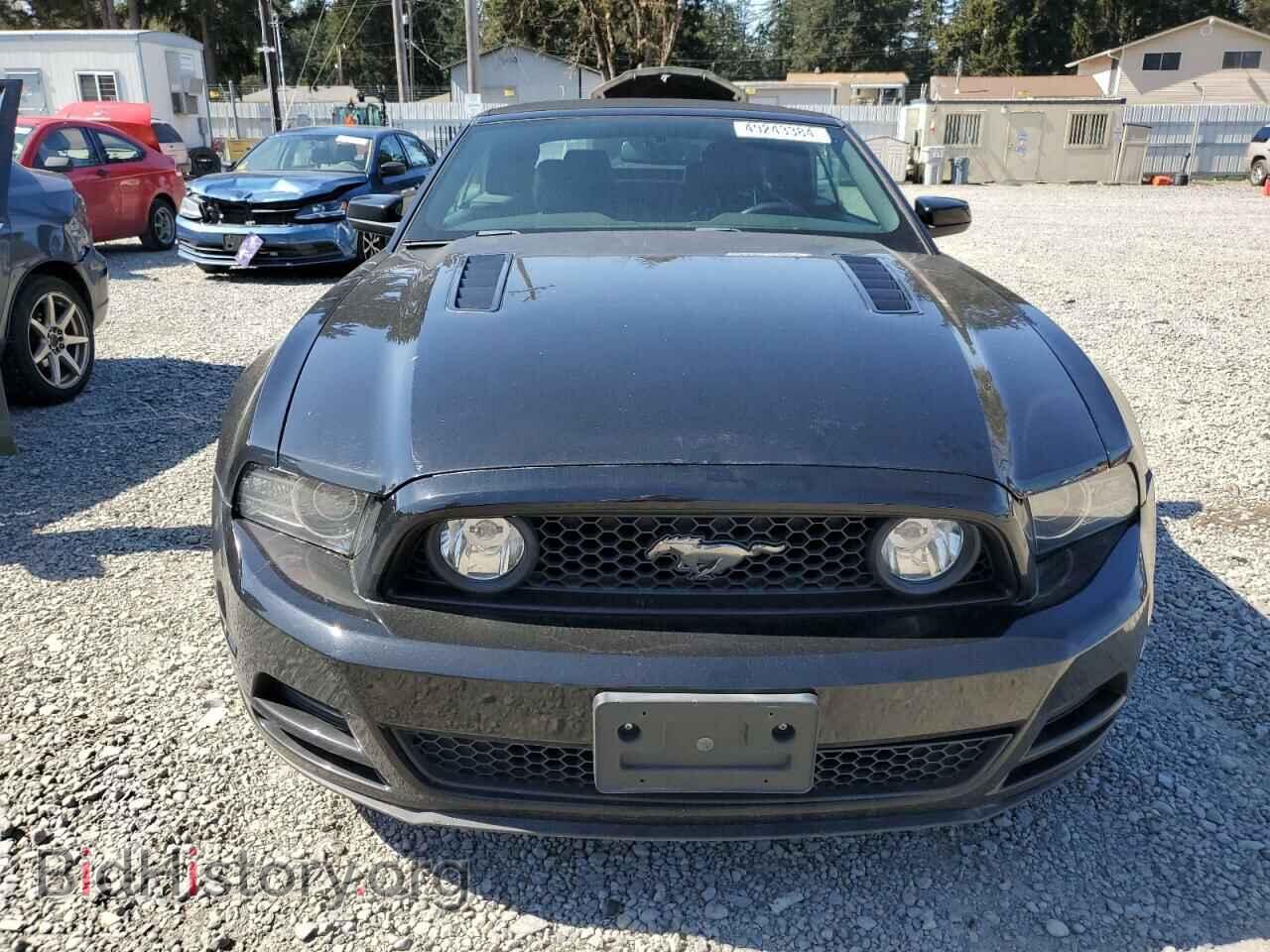 2013 FORD MUSTANG - VIN: 1ZVBP8FF8D5257248 - Фото 5