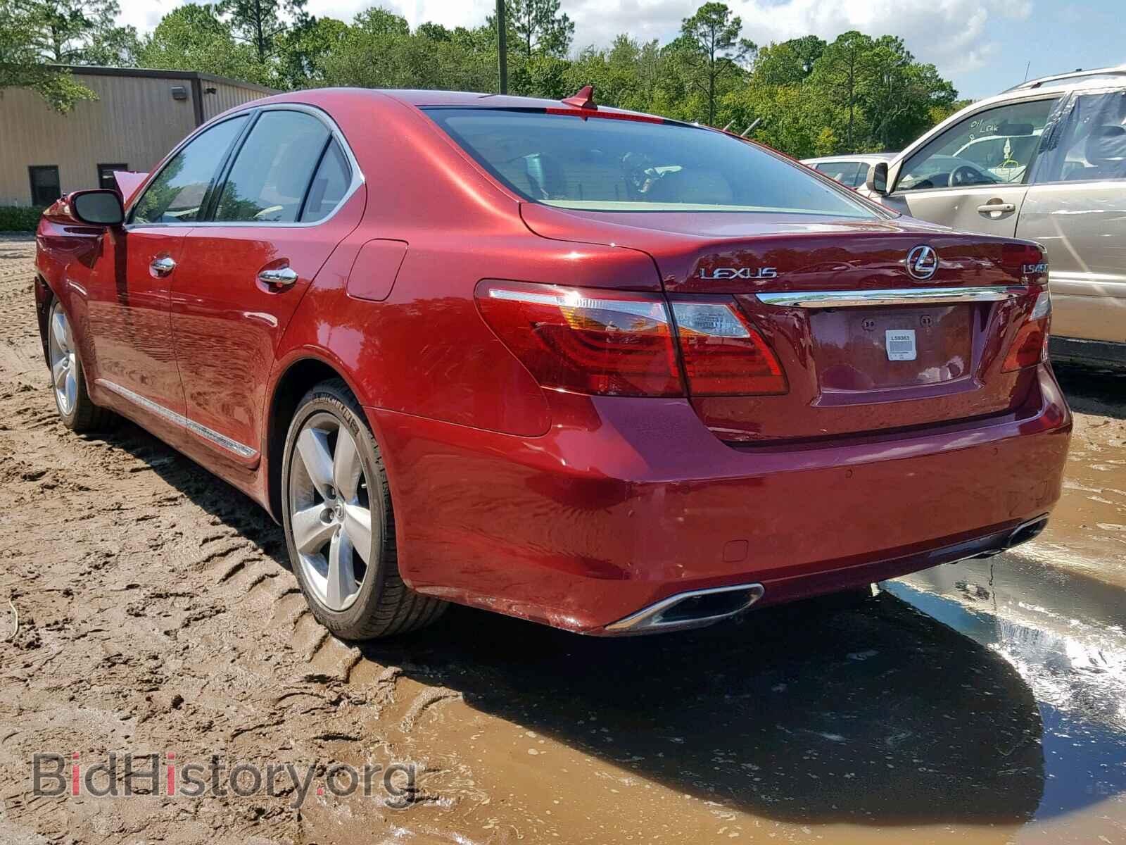 2010 LEXUS LS460 - VIN: JTHBL5EF9A5099866 - Фото 3