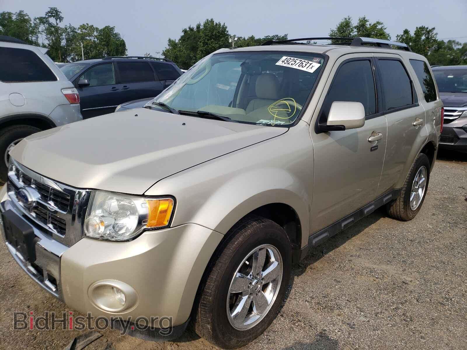 2011 FORD ESCAPE - VIN: 1FMCU0E78BKB57981 - Фото 2