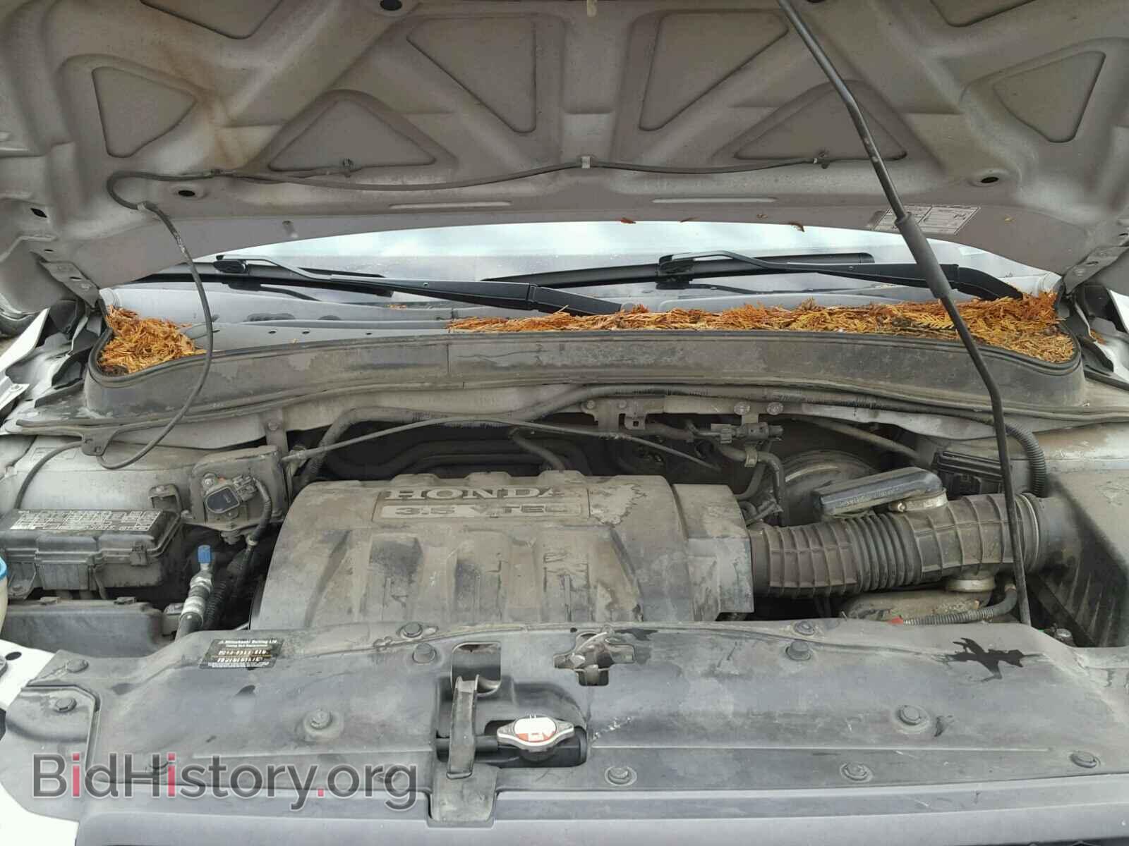 2005 HONDA PILOT - VIN: 5FNYF18565B021161 - Фото 7